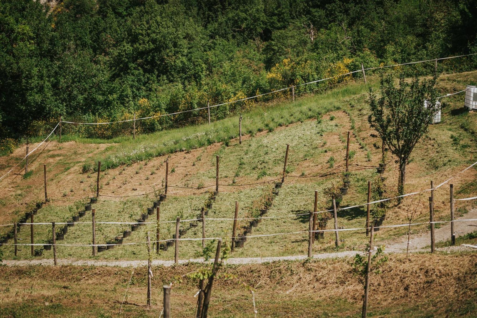Agricampeggio Ca Di Mazza Monzuno Ngoại thất bức ảnh